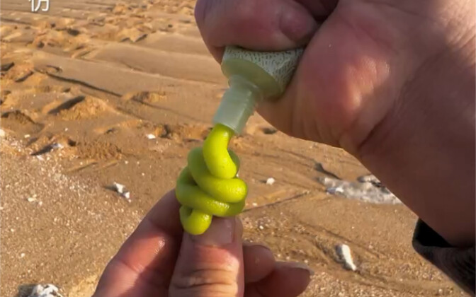 Today, while foraging by the seaside, I unexpectedly discovered a group of delicacies said to come f