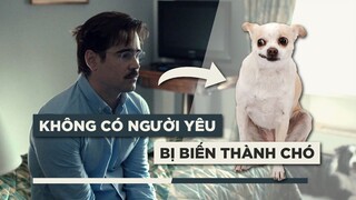 THE LOBSTER: Khi CÔ ĐƠN là BẤT HỢP PHÁP