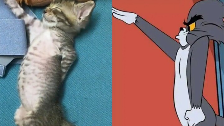 “难  蚌”❸❶