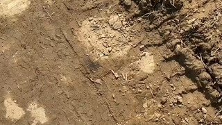 都说了让你慢点呢