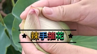 辣手摧花，掰开巨无霸