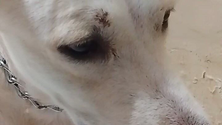 ayaw nya my pusa 😂