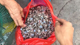 今天去海边捡沙蟹拿到街上摆摊卖。