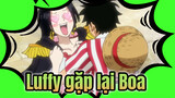 Siêu ngọt!!! 400 tập, Luffy và Boa cuối cùng cũng gặp lại rồi~