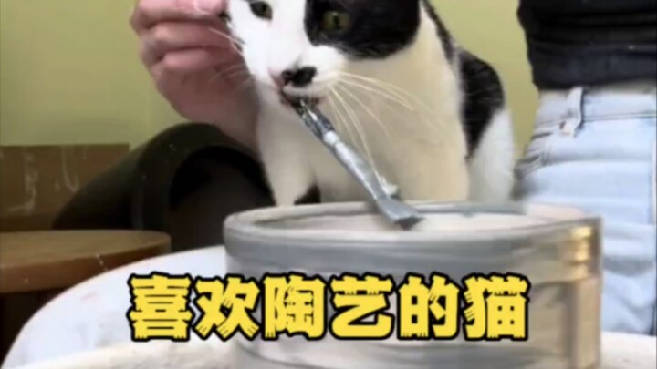定制一个陶器很有趣任何人都可以体验