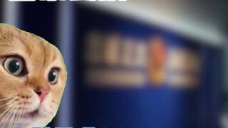 【Cat meme】About being put in police custody on the first day of travel