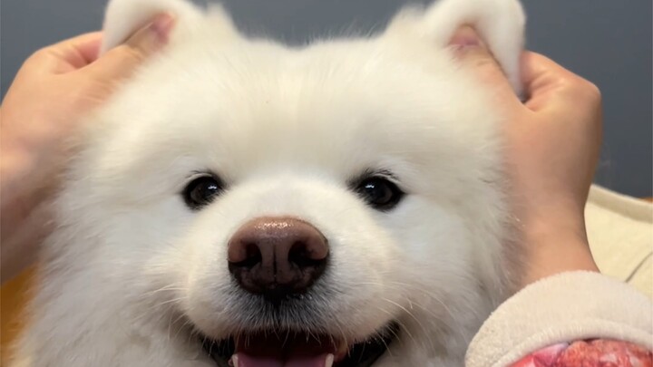 Cùng nhau vui vẻ nào