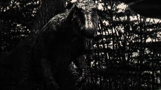 “ 索纳岛的死神 ”