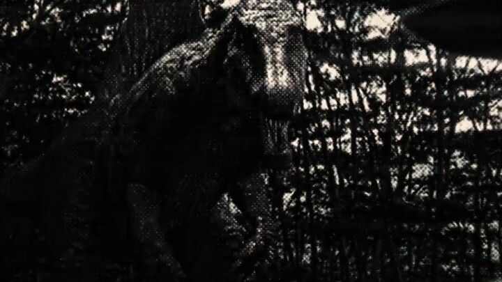 “ 索纳岛的死神 ”