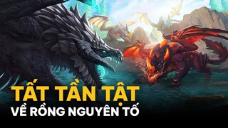 TẤT TẦN TẬT VỀ RỒNG NGUYÊN TỐ TRONG LIÊN MINH HUYỀN THOẠI TỐC CHIẾN