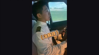 这海豚跳的也太高了......