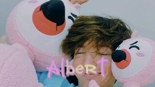 Flamingo Albert edit