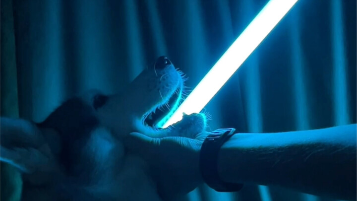 Is this the lightsaber cosplay you guys were talking about?