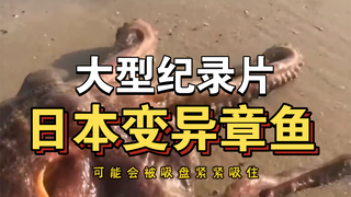 The blockbuster documentary "Mutant Octopus of Japan" continues to air for you！！！！！！