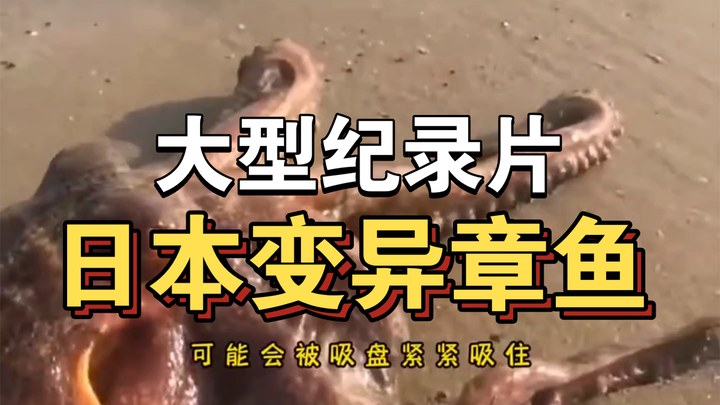 大型纪录片《日本变异章鱼》持续为你播出！！！！！！