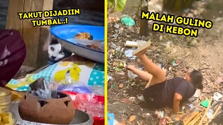 Kumpulan Video Lucu, Random & Meme Absurd ▪ Part 1