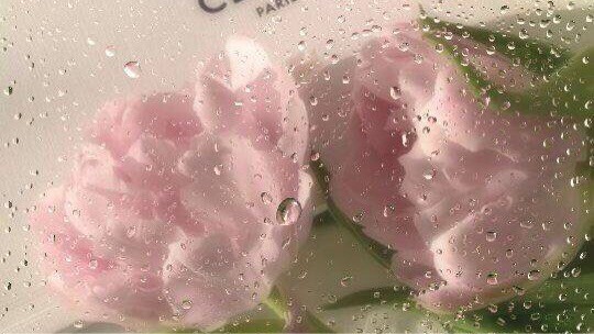 จำไมไม่ได้