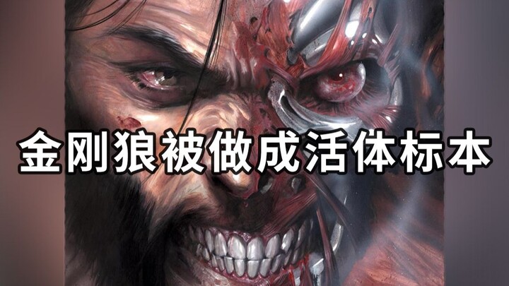 บทมหากาพย์ของ X-Men! วูล์ฟเวอรีนถูกสร้างให้เป็นตัวอย่างที่มีชีวิต แมกนีโตและศาสตราจารย์เอ็กซ์ร่วมมือ