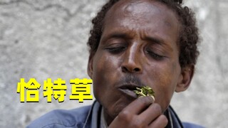 قطعة عشب دمّرت بلدًا بأكمله. ما أشدّ فظاعة عشبة القات التي شلّت اليمن؟