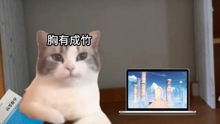 猫咪的考试周日常