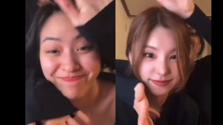 Hwang Gyuri and Shin Yujin live-streamed dances for Flower, Set Me Free, Love Me Like This, Hype Boy