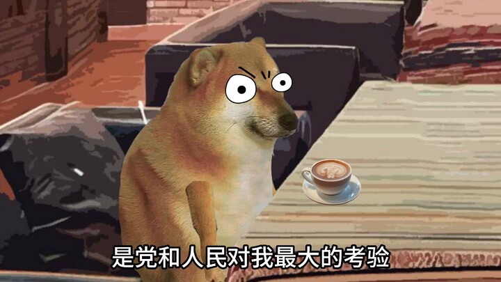 对她的真诚