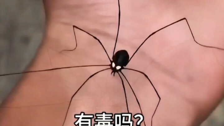 What kind of insect is this? Is it poisonous?