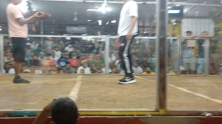 2hits champion 🏆🏆