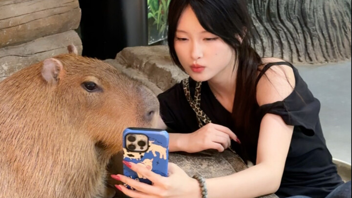 الذكاء الاصطناعي: أستطيع التنبؤ بالخطوة التالية للبشر! أنا: 🖕🤓