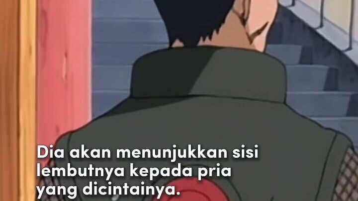 Kata kata dari shikaku