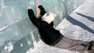 小短腿儿的南方小土豆挑战跨上冰墙 结果却像动画片里一样丝滑落地