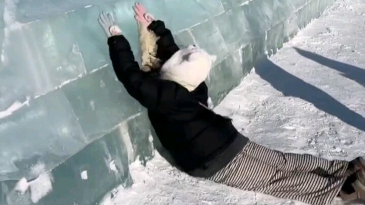 تحدي البطاطا الجنوبية ذات الأرجل القصيرة للقفز فوق جدار الجليد، لكن النتيجة كانت سلسة وانسيابية مثل 
