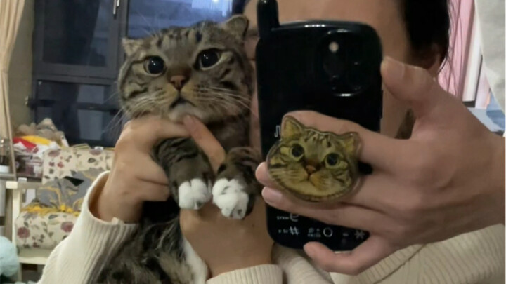 ปากของน้องแมวโดนจุ๊บจนเหลืองหรือเปล่า?