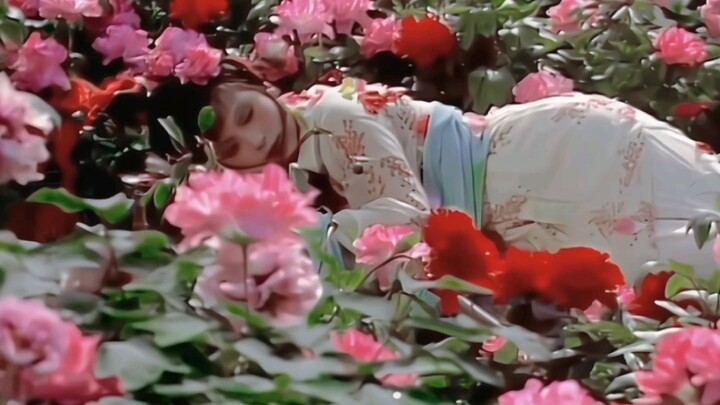 “Bốn tác phẩm nghệ thuật hành vi trong Hồng Lâu Mộng”