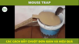 be4 - bẫy chuột đơn giản mà hiệu quả