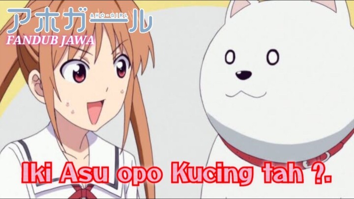 [Fandub Jawa] Aho Girl - Iki Asu Opo Kucing Tah ?.