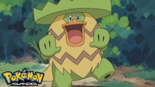 Pokémon AG Tập 343: Cuộc chiến khiêu vũ với Runpappa!! (Thuyết Minh)