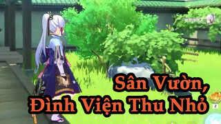 Sân Vườn, Đình Viện Thu Nhỏ