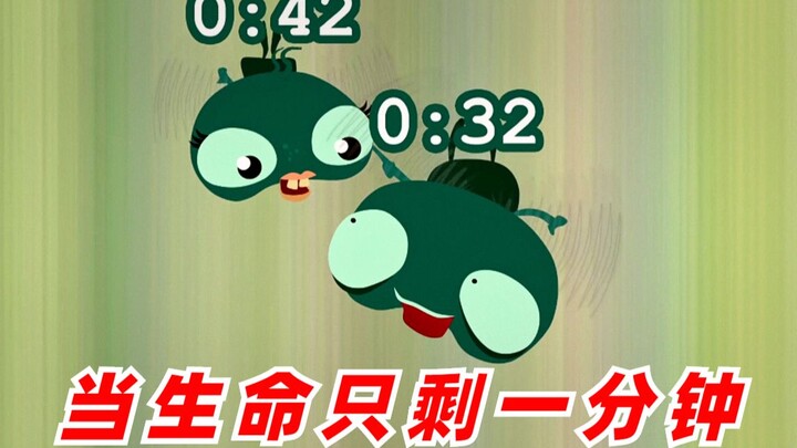 [Reverse short film] A fly with only one minute to live starts making a bucket list!