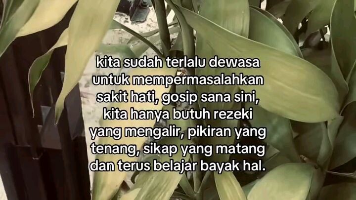 Jangan pernah Pikirin