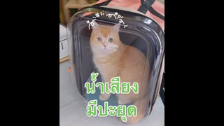 น้ำเสียงมีปะยุด(พิรุธ)