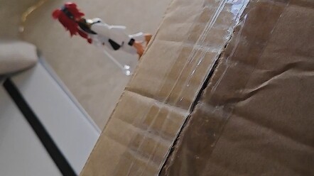 Kucing yang dibeli PDD sudah tiba, sekadar membuka kotaknya sebentar