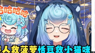 【Tiandou】Tiandoubao, a kitten, and a pineapple fell into the water. Who should they save? The ginger
