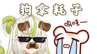 仓鼠太太给七饭起名狗尾巴草 不料被狗拿耗子 惨~！！！
