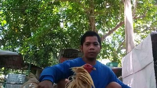 genesis gf sanmae gf