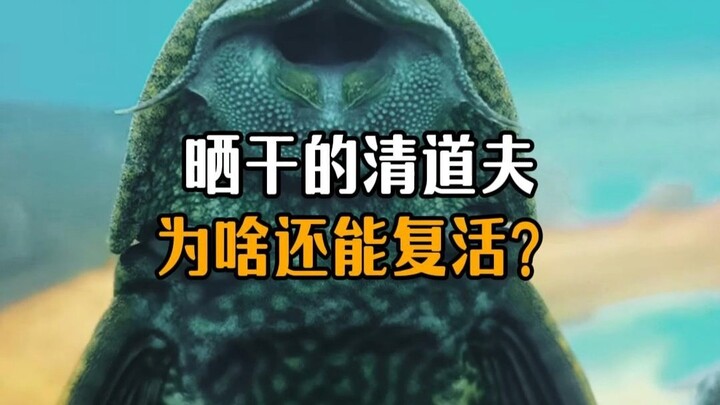 ทำไมสัตว์ทำความสะอาดที่ตากแห้งแล้วถึงยังฟื้นคืนชีพได้?