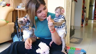 Mom Feed Candy For Both Lovely Baby Lion & Sono, They're So Happy Playing With Mom