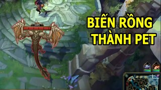 Phát hiện Bug biến rồng thành thú cưng chạy theo khắp bản đồ, Mikyx hướng dẫn chới Blitzcrank