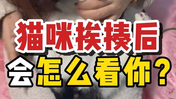 แมวจะคิดยังไงกับคุณหลังจากโดนตี? การตีไม่มีประโยชน์! แค่เล่นคำสบถแบบแมวๆ ก็พอ!