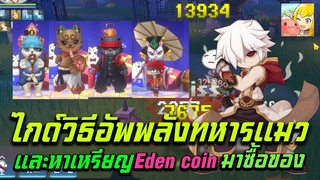 Ragnarok M: Classic ไกด์วิธีอัพพลังทหารแมวและหาเหรียญeden coinมาซื้อของอัพ